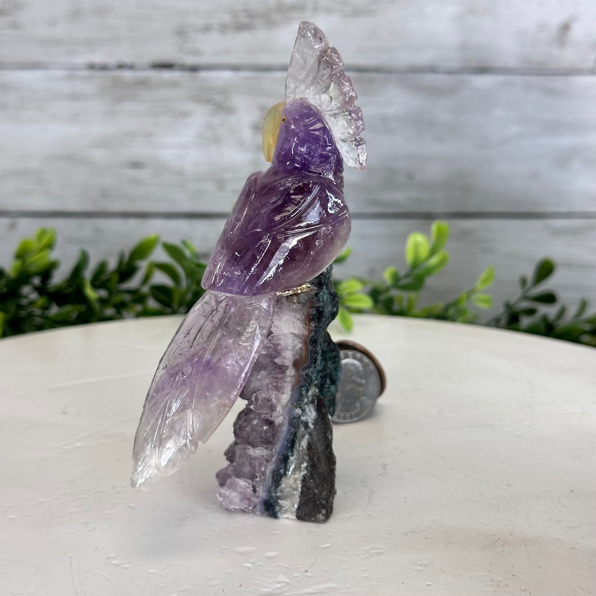 Small Hand - Carved Amethyst Cockatoo on an Amethyst Base, #3002 - AMCAM - 004 - Brazil GemsBrazil GemsSmall Hand - Carved Amethyst Cockatoo on an Amethyst Base, #3002 - AMCAM - 004Crystal Birds3002 - AMCAM - 004