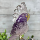 Small Hand - Carved Amethyst Cockatoo on an Amethyst Base, #3002 - AMCAM - 004 - Brazil GemsBrazil GemsSmall Hand - Carved Amethyst Cockatoo on an Amethyst Base, #3002 - AMCAM - 004Crystal Birds3002 - AMCAM - 004