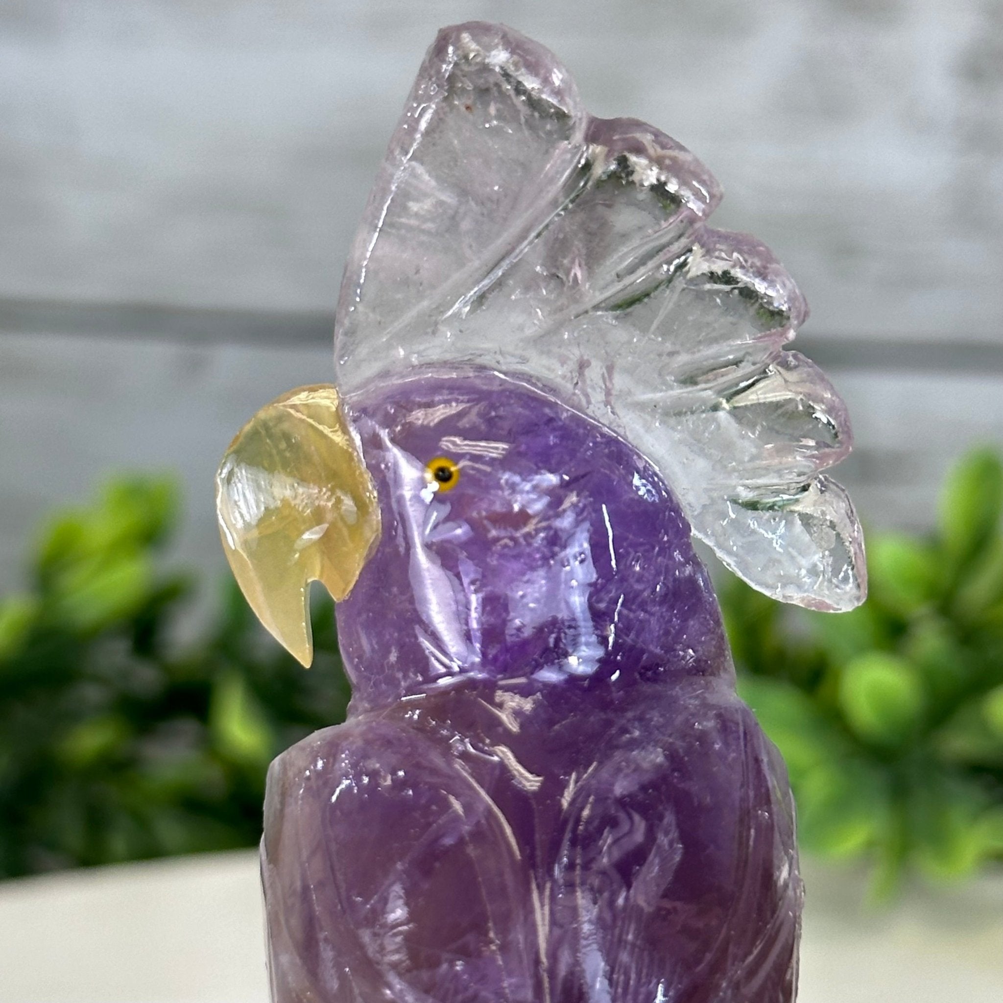 Small Hand - Carved Amethyst Cockatoo on an Amethyst Base, #3002 - AMCAM - 004 - Brazil GemsBrazil GemsSmall Hand - Carved Amethyst Cockatoo on an Amethyst Base, #3002 - AMCAM - 004Crystal Birds3002 - AMCAM - 004