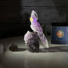 Small Hand - Carved Amethyst Cockatoo on an Amethyst Base, #3002 - AMCAM - 004 - Brazil GemsBrazil GemsSmall Hand - Carved Amethyst Cockatoo on an Amethyst Base, #3002 - AMCAM - 004Crystal Birds3002 - AMCAM - 004