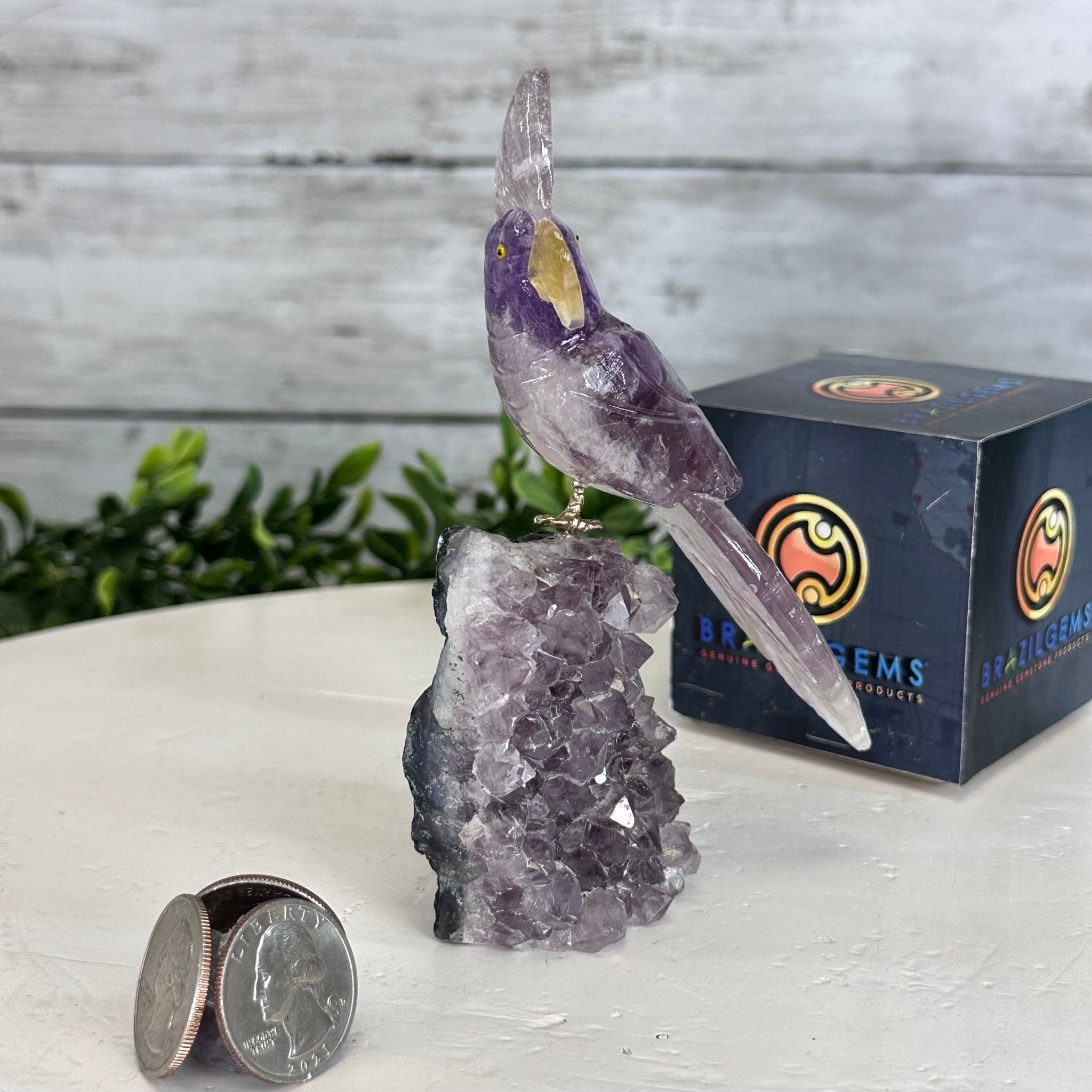 Small Hand - Carved Amethyst Cockatoo on an Amethyst Base, #3002 - AMCAM - 004 - Brazil GemsBrazil GemsSmall Hand - Carved Amethyst Cockatoo on an Amethyst Base, #3002 - AMCAM - 004Crystal Birds3002 - AMCAM - 004