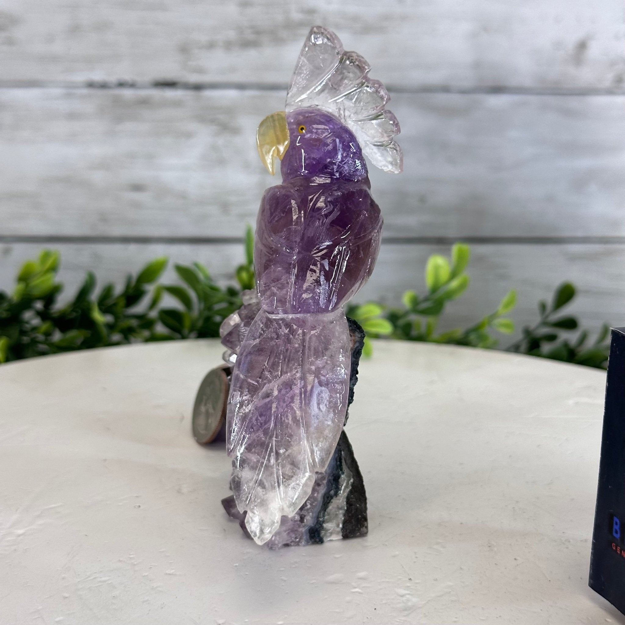 Small Hand - Carved Amethyst Cockatoo on an Amethyst Base, #3002 - AMCAM - 004 - Brazil GemsBrazil GemsSmall Hand - Carved Amethyst Cockatoo on an Amethyst Base, #3002 - AMCAM - 004Crystal Birds3002 - AMCAM - 004