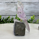 Small Hand - Carved Amethyst Cockatoo on an Amethyst Base, #3002 - AMCAM - 006 - Brazil GemsBrazil GemsSmall Hand - Carved Amethyst Cockatoo on an Amethyst Base, #3002 - AMCAM - 006Crystal Birds3002 - AMCAM - 006