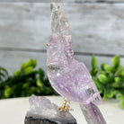 Small Hand - Carved Amethyst Cockatoo on an Amethyst Base, #3002 - AMCAM - 006 - Brazil GemsBrazil GemsSmall Hand - Carved Amethyst Cockatoo on an Amethyst Base, #3002 - AMCAM - 006Crystal Birds3002 - AMCAM - 006