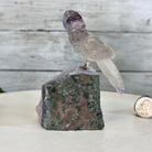 Small Hand - Carved Amethyst Parrot on an Amethyst Base #3002 - AMPAM - 020 - Brazil GemsBrazil GemsSmall Hand - Carved Amethyst Parrot on an Amethyst Base #3002 - AMPAM - 020Crystal Birds3002 - AMPAM - 020