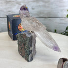 Small Hand - Carved Amethyst Parrot on an Amethyst Base #3002 - AMPAM - 020 - Brazil GemsBrazil GemsSmall Hand - Carved Amethyst Parrot on an Amethyst Base #3002 - AMPAM - 020Crystal Birds3002 - AMPAM - 020