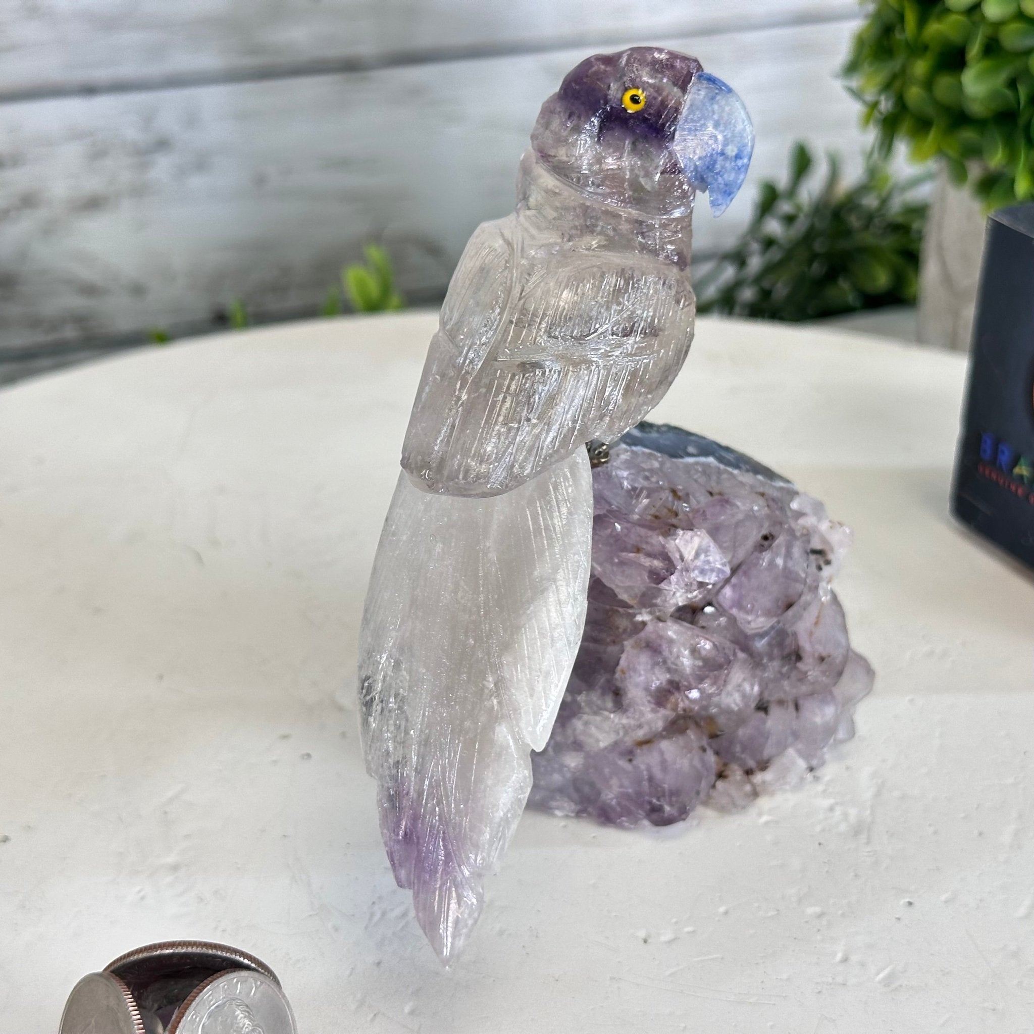 Small Hand - Carved Amethyst Parrot on an Amethyst Base #3002 - AMPAM - 020 - Brazil GemsBrazil GemsSmall Hand - Carved Amethyst Parrot on an Amethyst Base #3002 - AMPAM - 020Crystal Birds3002 - AMPAM - 020