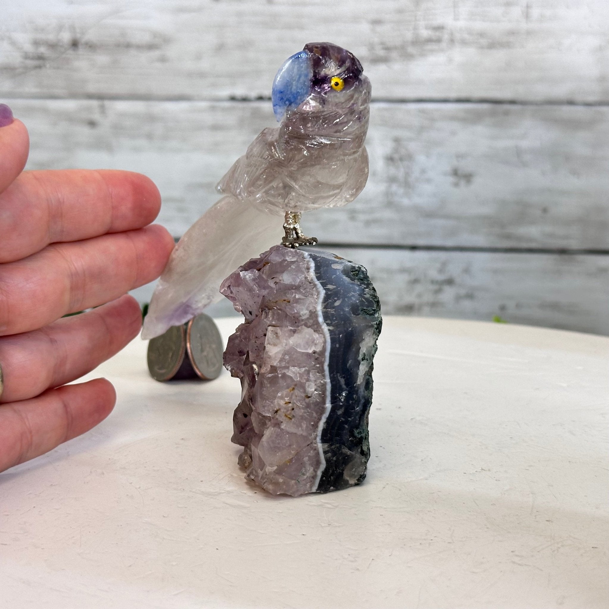 Small Hand - Carved Amethyst Parrot on an Amethyst Base #3002 - AMPAM - 020 - Brazil GemsBrazil GemsSmall Hand - Carved Amethyst Parrot on an Amethyst Base #3002 - AMPAM - 020Crystal Birds3002 - AMPAM - 020