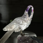 Small Hand - Carved Amethyst Parrot on an Amethyst Base #3002 - AMPAM - 020 - Brazil GemsBrazil GemsSmall Hand - Carved Amethyst Parrot on an Amethyst Base #3002 - AMPAM - 020Crystal Birds3002 - AMPAM - 020