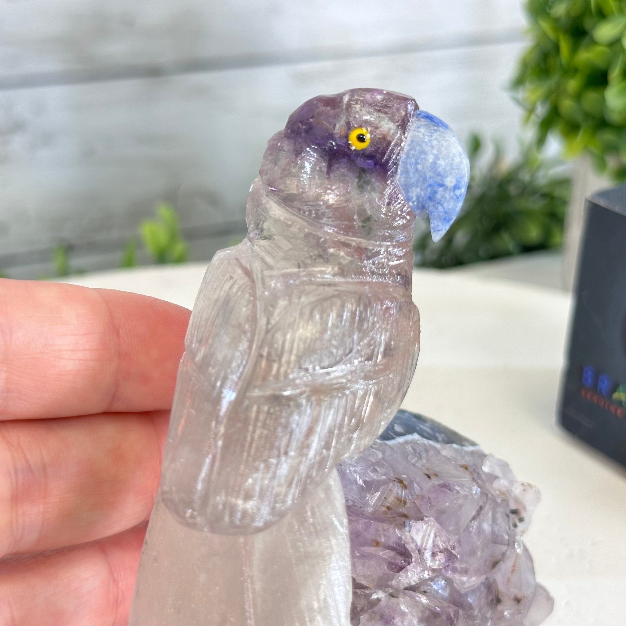 Small Hand - Carved Amethyst Parrot on an Amethyst Base #3002 - AMPAM - 020 - Brazil GemsBrazil GemsSmall Hand - Carved Amethyst Parrot on an Amethyst Base #3002 - AMPAM - 020Crystal Birds3002 - AMPAM - 020