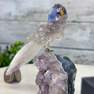 Small Hand - Carved Amethyst Parrot on an Amethyst Base #3002 - AMPAM - 020 - Brazil GemsBrazil GemsSmall Hand - Carved Amethyst Parrot on an Amethyst Base #3002 - AMPAM - 020Crystal Birds3002 - AMPAM - 020