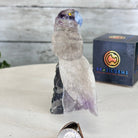 Small Hand - Carved Amethyst Parrot on an Amethyst Base #3002 - AMPAM - 020 - Brazil GemsBrazil GemsSmall Hand - Carved Amethyst Parrot on an Amethyst Base #3002 - AMPAM - 020Crystal Birds3002 - AMPAM - 020