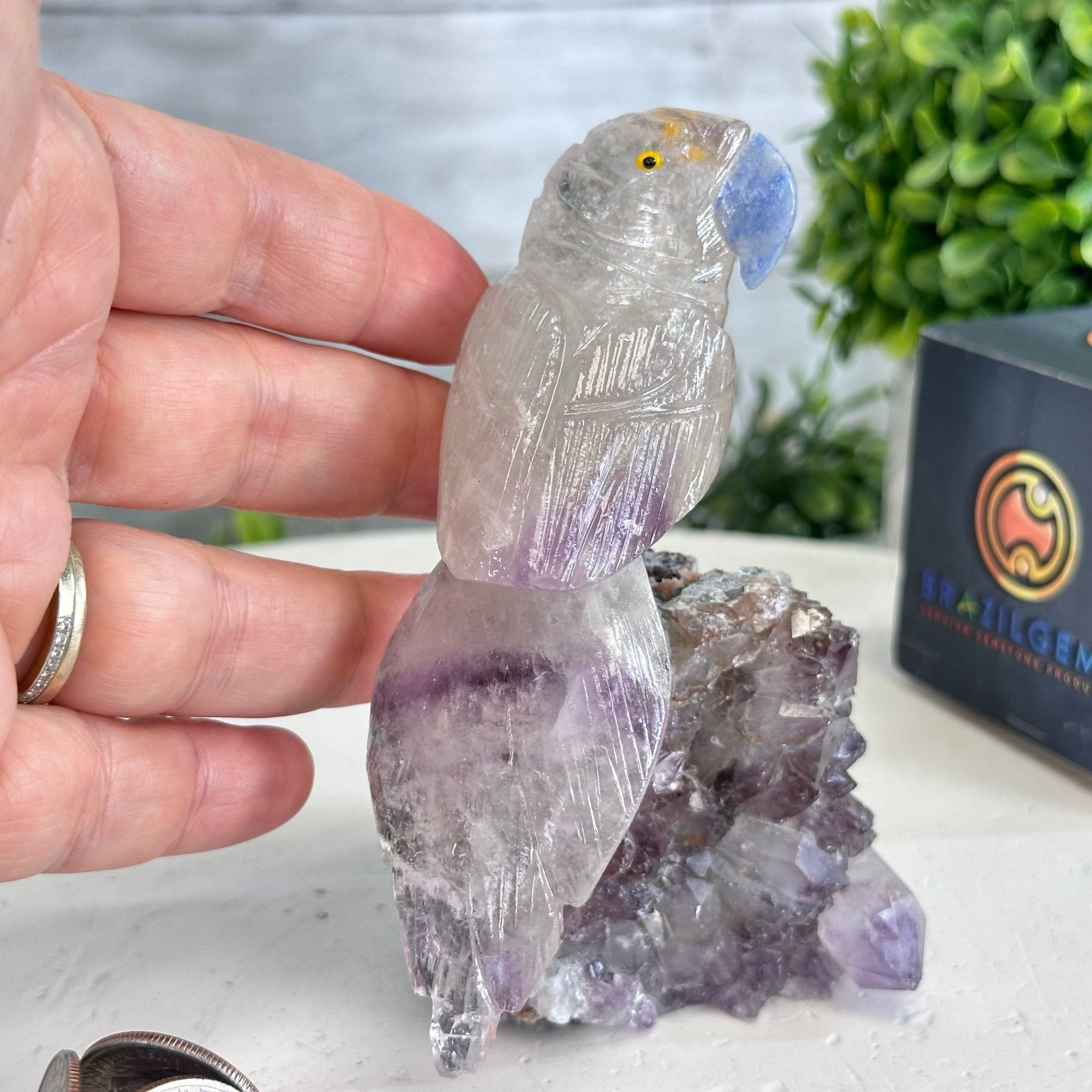 Small Hand - Carved Amethyst Parrot on an Amethyst Base #3002 - AMPAM - 022 - Brazil GemsBrazil GemsSmall Hand - Carved Amethyst Parrot on an Amethyst Base #3002 - AMPAM - 022Crystal Birds3002 - AMPAM - 022