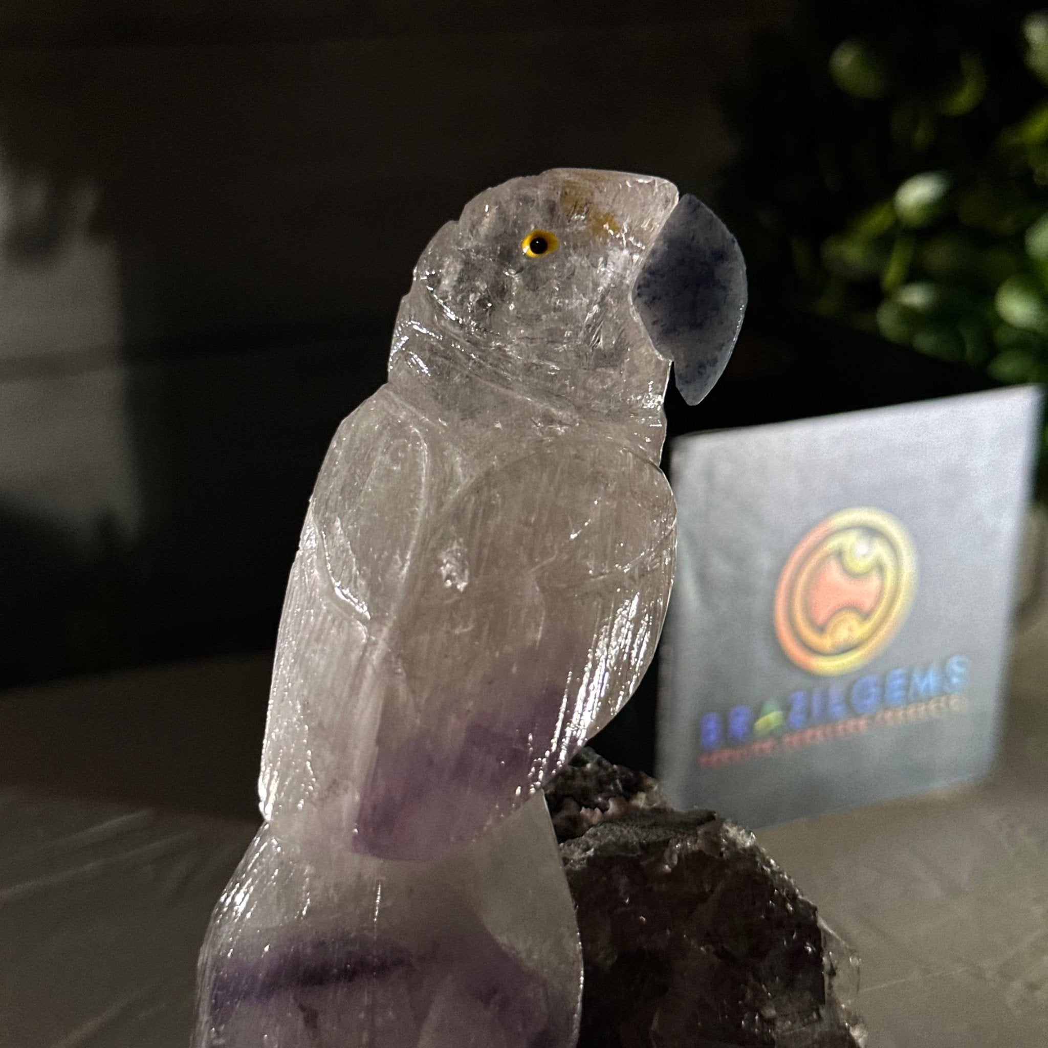 Small Hand - Carved Amethyst Parrot on an Amethyst Base #3002 - AMPAM - 022 - Brazil GemsBrazil GemsSmall Hand - Carved Amethyst Parrot on an Amethyst Base #3002 - AMPAM - 022Crystal Birds3002 - AMPAM - 022