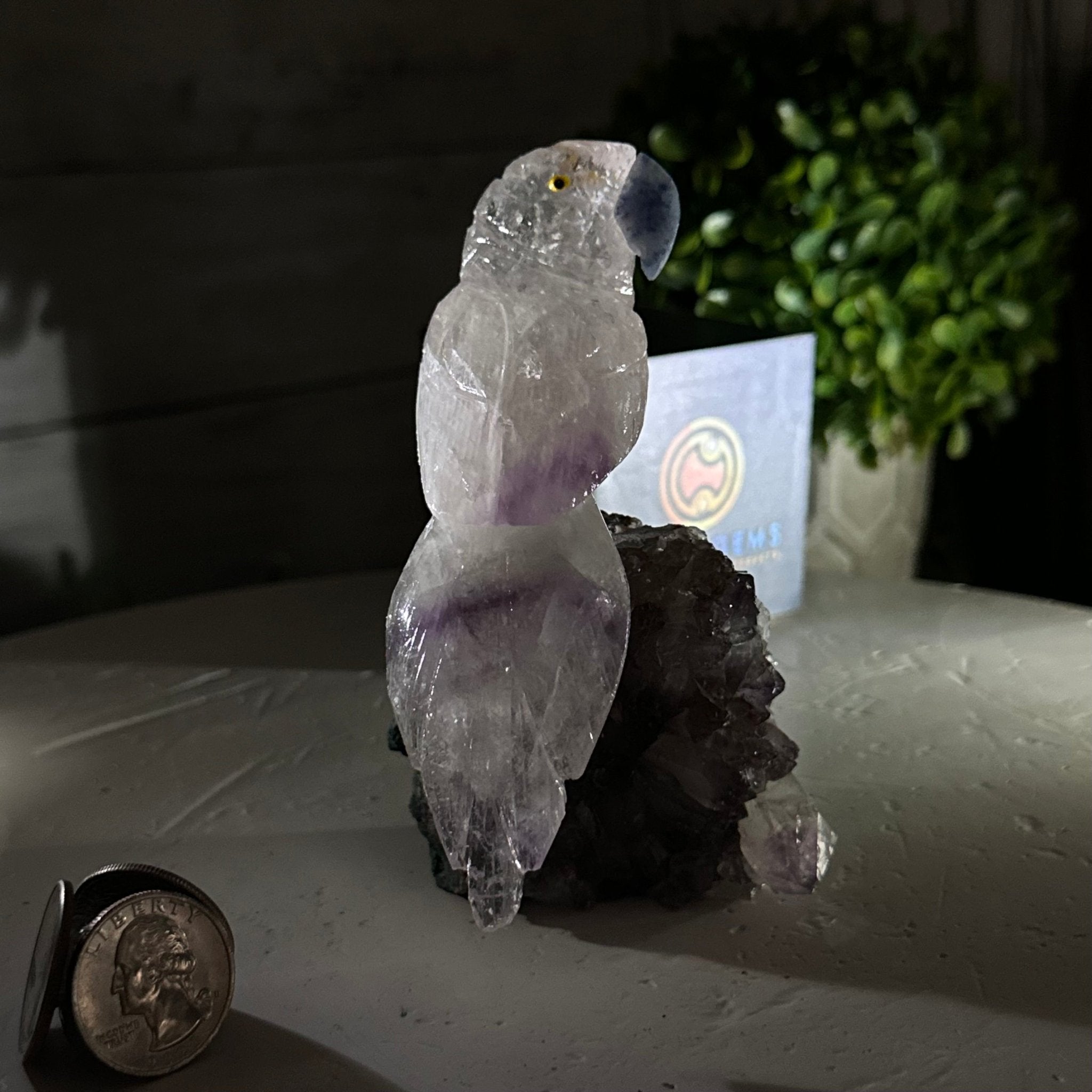 Small Hand - Carved Amethyst Parrot on an Amethyst Base #3002 - AMPAM - 022 - Brazil GemsBrazil GemsSmall Hand - Carved Amethyst Parrot on an Amethyst Base #3002 - AMPAM - 022Crystal Birds3002 - AMPAM - 022