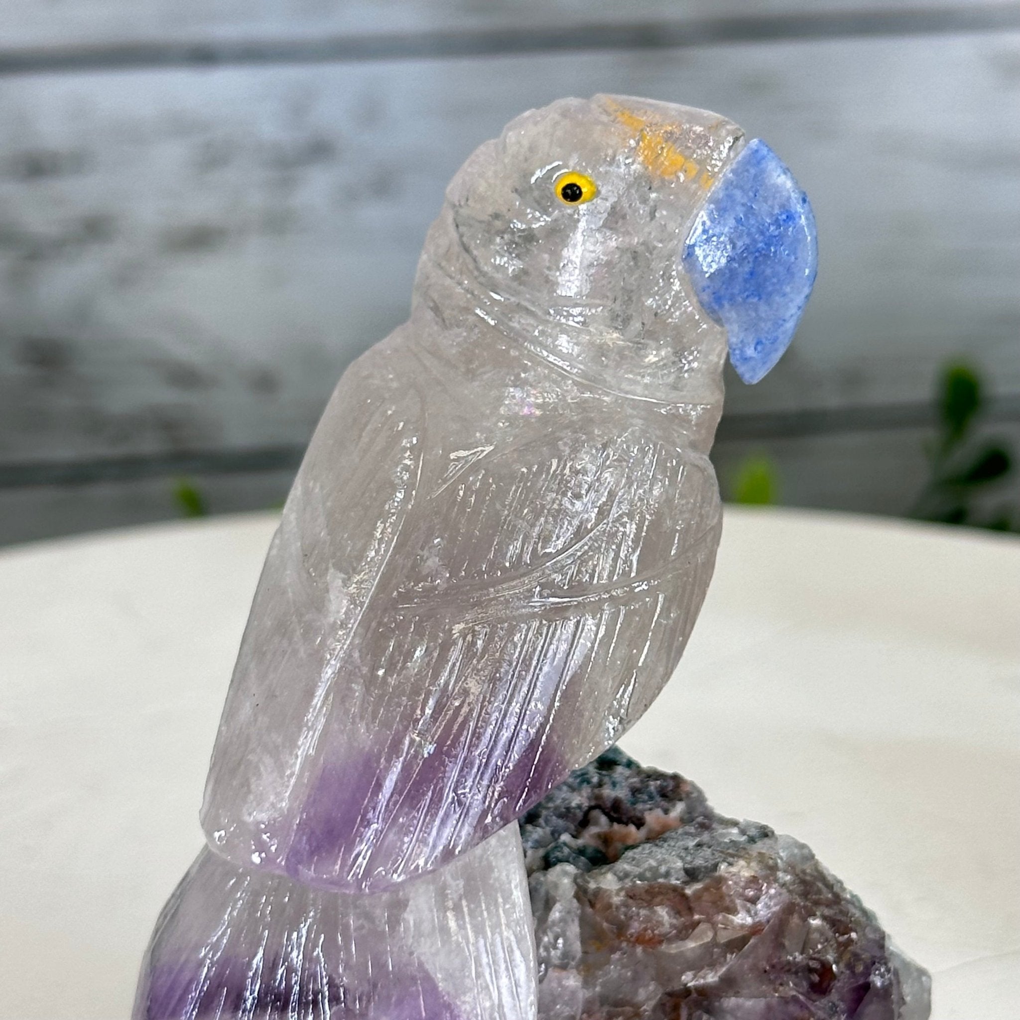 Small Hand - Carved Amethyst Parrot on an Amethyst Base #3002 - AMPAM - 022 - Brazil GemsBrazil GemsSmall Hand - Carved Amethyst Parrot on an Amethyst Base #3002 - AMPAM - 022Crystal Birds3002 - AMPAM - 022