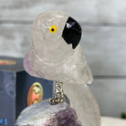 Small Hand - Carved Amethyst Parrot on an Amethyst Base #3002 - AMPAM - 023 - Brazil GemsBrazil GemsSmall Hand - Carved Amethyst Parrot on an Amethyst Base #3002 - AMPAM - 023Crystal Birds3002 - AMPAM - 023