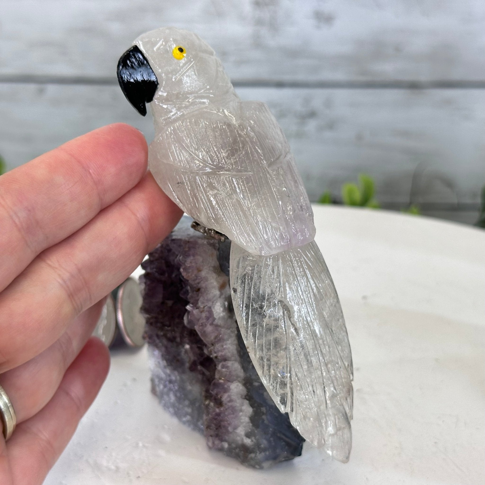 Small Hand - Carved Amethyst Parrot on an Amethyst Base #3002 - AMPAM - 023 - Brazil GemsBrazil GemsSmall Hand - Carved Amethyst Parrot on an Amethyst Base #3002 - AMPAM - 023Crystal Birds3002 - AMPAM - 023