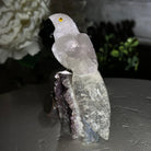 Small Hand - Carved Amethyst Parrot on an Amethyst Base #3002 - AMPAM - 023 - Brazil GemsBrazil GemsSmall Hand - Carved Amethyst Parrot on an Amethyst Base #3002 - AMPAM - 023Crystal Birds3002 - AMPAM - 023