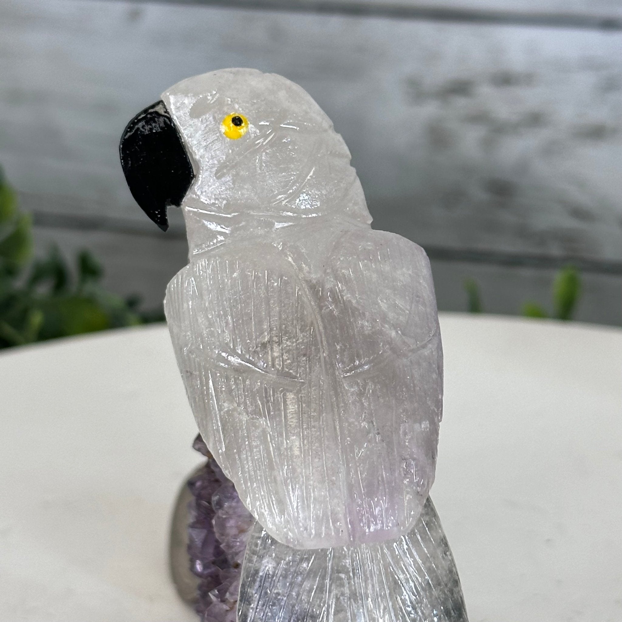 Small Hand - Carved Amethyst Parrot on an Amethyst Base #3002 - AMPAM - 023 - Brazil GemsBrazil GemsSmall Hand - Carved Amethyst Parrot on an Amethyst Base #3002 - AMPAM - 023Crystal Birds3002 - AMPAM - 023