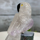 Small Hand - Carved Amethyst Parrot on an Amethyst Base #3002 - AMPAM - 023 - Brazil GemsBrazil GemsSmall Hand - Carved Amethyst Parrot on an Amethyst Base #3002 - AMPAM - 023Crystal Birds3002 - AMPAM - 023