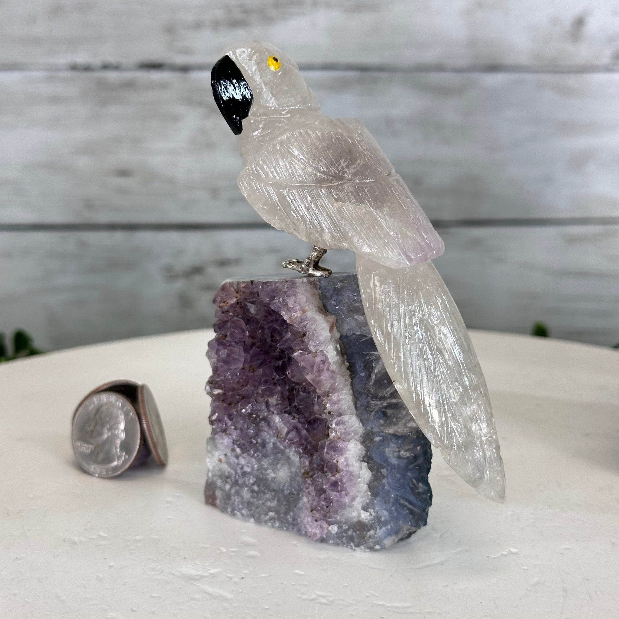 Small Hand - Carved Amethyst Parrot on an Amethyst Base #3002 - AMPAM - 023 - Brazil GemsBrazil GemsSmall Hand - Carved Amethyst Parrot on an Amethyst Base #3002 - AMPAM - 023Crystal Birds3002 - AMPAM - 023