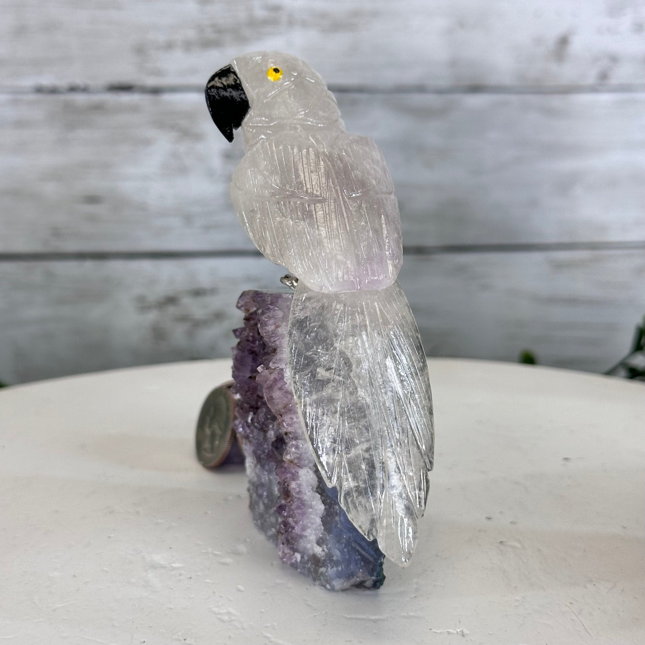 Small Hand - Carved Amethyst Parrot on an Amethyst Base #3002 - AMPAM - 023 - Brazil GemsBrazil GemsSmall Hand - Carved Amethyst Parrot on an Amethyst Base #3002 - AMPAM - 023Crystal Birds3002 - AMPAM - 023