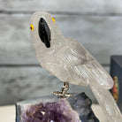 Small Hand - Carved Amethyst Parrot on an Amethyst Base #3002 - AMPAM - 023 - Brazil GemsBrazil GemsSmall Hand - Carved Amethyst Parrot on an Amethyst Base #3002 - AMPAM - 023Crystal Birds3002 - AMPAM - 023