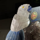 Small Hand - Carved Amethyst Parrot on an Amethyst Base, #3002 - AMPAM - 025 - Brazil GemsBrazil GemsSmall Hand - Carved Amethyst Parrot on an Amethyst Base, #3002 - AMPAM - 025Crystal Birds3002 - AMPAM - 025