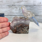 Small Hand - Carved Amethyst Parrot on an Amethyst Base, #3002 - AMPAM - 025 - Brazil GemsBrazil GemsSmall Hand - Carved Amethyst Parrot on an Amethyst Base, #3002 - AMPAM - 025Crystal Birds3002 - AMPAM - 025