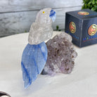 Small Hand - Carved Amethyst Parrot on an Amethyst Base, #3002 - AMPAM - 025 - Brazil GemsBrazil GemsSmall Hand - Carved Amethyst Parrot on an Amethyst Base, #3002 - AMPAM - 025Crystal Birds3002 - AMPAM - 025