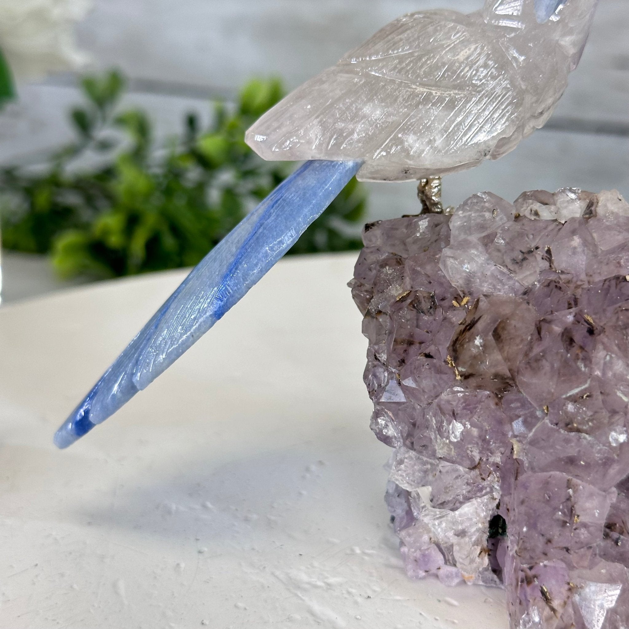 Small Hand - Carved Amethyst Parrot on an Amethyst Base, #3002 - AMPAM - 025 - Brazil GemsBrazil GemsSmall Hand - Carved Amethyst Parrot on an Amethyst Base, #3002 - AMPAM - 025Crystal Birds3002 - AMPAM - 025