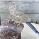 Small Hand - Carved Amethyst Parrot on an Amethyst Base, #3002 - AMPAM - 025 - Brazil GemsBrazil GemsSmall Hand - Carved Amethyst Parrot on an Amethyst Base, #3002 - AMPAM - 025Crystal Birds3002 - AMPAM - 025