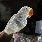 Small Hand - Carved Clear Quartz Parrot on an Amethyst Base, #3002 - CQPAM - 024 - Brazil GemsBrazil GemsSmall Hand - Carved Clear Quartz Parrot on an Amethyst Base, #3002 - CQPAM - 024Crystal Birds3002 - CQPAM - 024