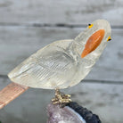 Small Hand - Carved Clear Quartz Parrot on an Amethyst Base, #3002 - CQPAM - 024 - Brazil GemsBrazil GemsSmall Hand - Carved Clear Quartz Parrot on an Amethyst Base, #3002 - CQPAM - 024Crystal Birds3002 - CQPAM - 024