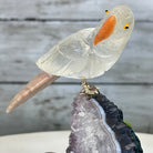 Small Hand - Carved Clear Quartz Parrot on an Amethyst Base, #3002 - CQPAM - 024 - Brazil GemsBrazil GemsSmall Hand - Carved Clear Quartz Parrot on an Amethyst Base, #3002 - CQPAM - 024Crystal Birds3002 - CQPAM - 024