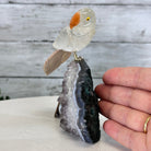 Small Hand - Carved Clear Quartz Parrot on an Amethyst Base, #3002 - CQPAM - 024 - Brazil GemsBrazil GemsSmall Hand - Carved Clear Quartz Parrot on an Amethyst Base, #3002 - CQPAM - 024Crystal Birds3002 - CQPAM - 024