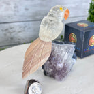 Small Hand - Carved Clear Quartz Parrot on an Amethyst Base, #3002 - CQPAM - 024 - Brazil GemsBrazil GemsSmall Hand - Carved Clear Quartz Parrot on an Amethyst Base, #3002 - CQPAM - 024Crystal Birds3002 - CQPAM - 024