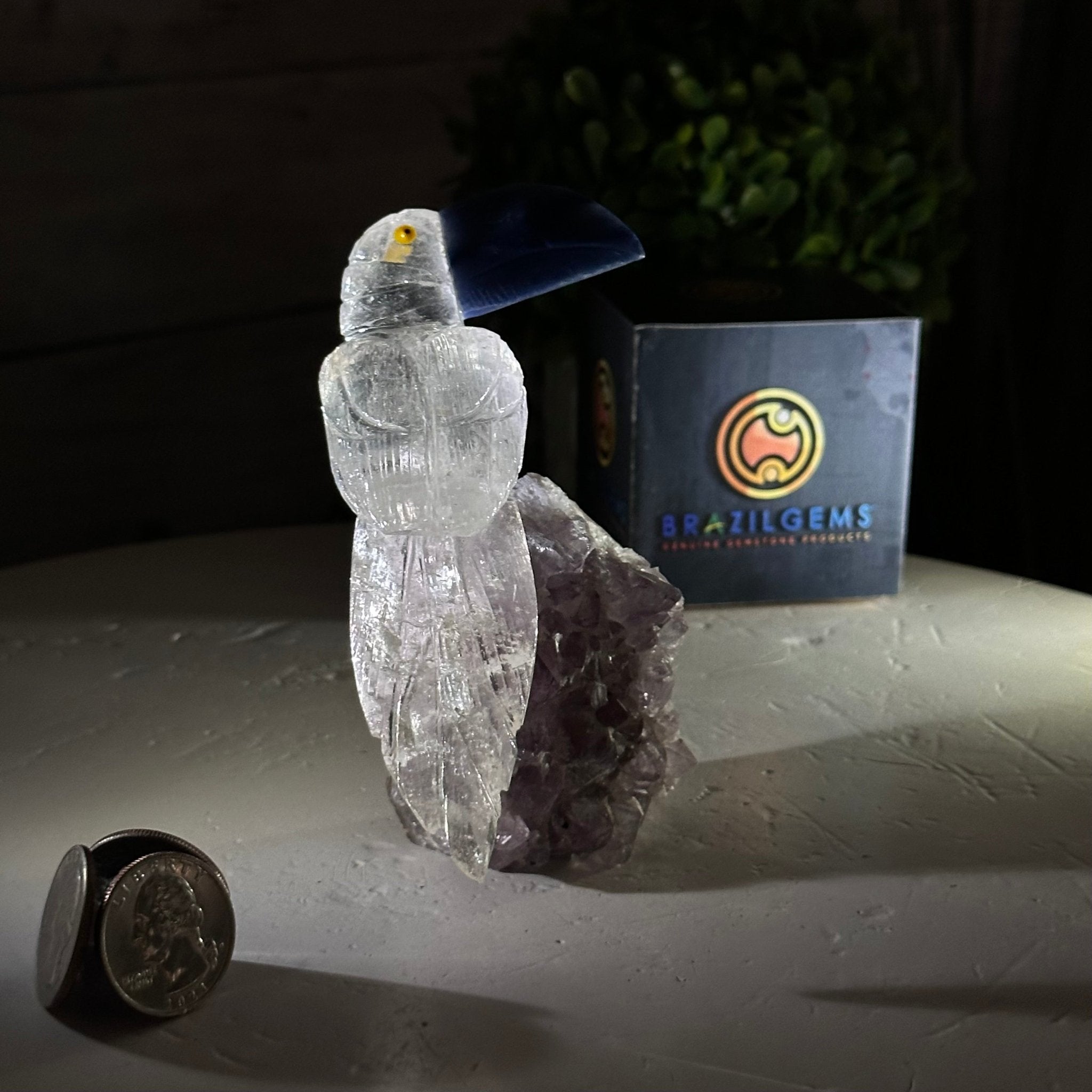 Small Hand - Carved Clear Quartz Toucan on an Amethyst Base #3002 - CQTAM - 031 - Brazil GemsBrazil GemsSmall Hand - Carved Clear Quartz Toucan on an Amethyst Base #3002 - CQTAM - 031Crystal Birds3002 - CQTAM - 031