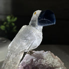 Small Hand - Carved Clear Quartz Toucan on an Amethyst Base #3002 - CQTAM - 031 - Brazil GemsBrazil GemsSmall Hand - Carved Clear Quartz Toucan on an Amethyst Base #3002 - CQTAM - 031Crystal Birds3002 - CQTAM - 031