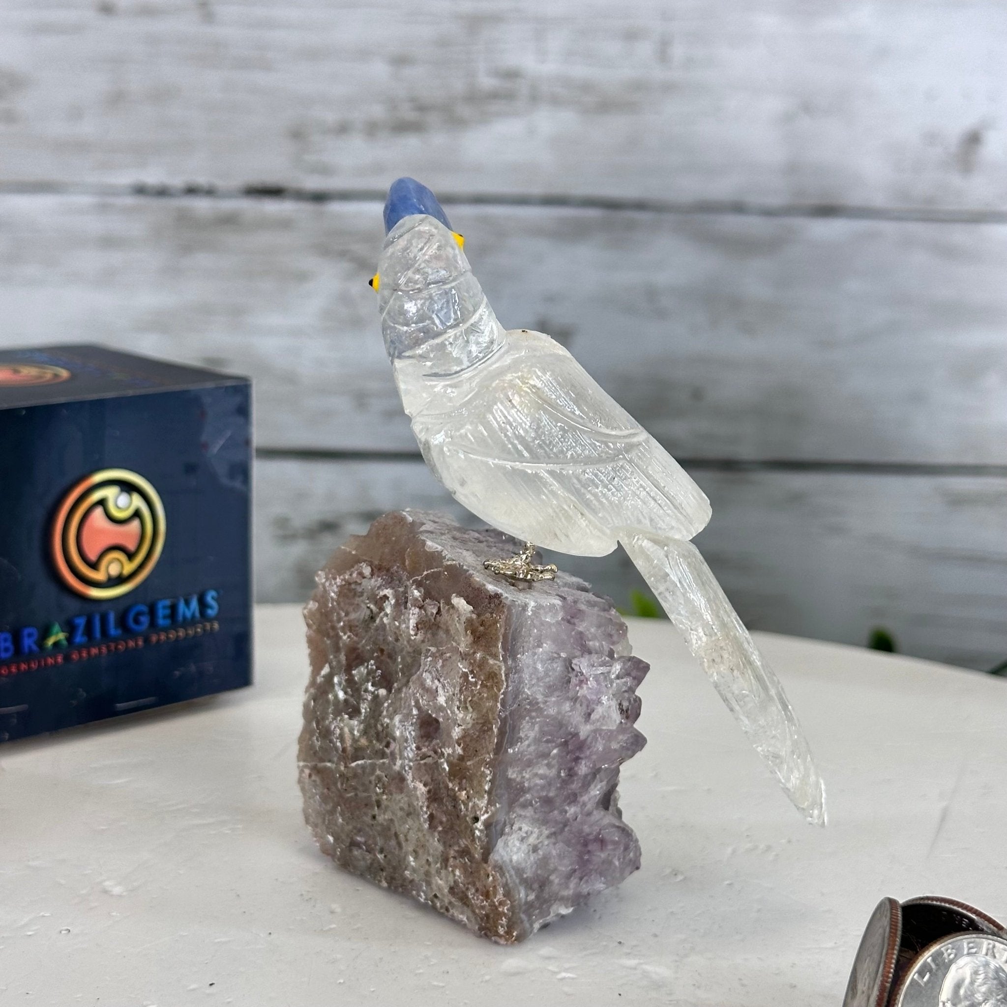 Small Hand - Carved Clear Quartz Toucan on an Amethyst Base #3002 - CQTAM - 031 - Brazil GemsBrazil GemsSmall Hand - Carved Clear Quartz Toucan on an Amethyst Base #3002 - CQTAM - 031Crystal Birds3002 - CQTAM - 031