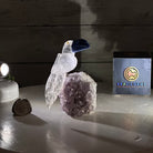 Small Hand - Carved Clear Quartz Toucan on an Amethyst Base #3002 - CQTAM - 031 - Brazil GemsBrazil GemsSmall Hand - Carved Clear Quartz Toucan on an Amethyst Base #3002 - CQTAM - 031Crystal Birds3002 - CQTAM - 031