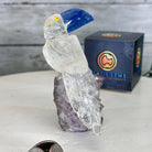 Small Hand - Carved Clear Quartz Toucan on an Amethyst Base #3002 - CQTAM - 031 - Brazil GemsBrazil GemsSmall Hand - Carved Clear Quartz Toucan on an Amethyst Base #3002 - CQTAM - 031Crystal Birds3002 - CQTAM - 031