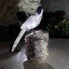 Small Hand - Carved Clear Quartz Toucan on an Amethyst Base #3002 - CQTAM - 031 - Brazil GemsBrazil GemsSmall Hand - Carved Clear Quartz Toucan on an Amethyst Base #3002 - CQTAM - 031Crystal Birds3002 - CQTAM - 031