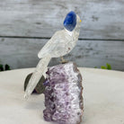 Small Hand - Carved Clear Quartz Toucan on an Amethyst Base #3002 - CQTAM - 031 - Brazil GemsBrazil GemsSmall Hand - Carved Clear Quartz Toucan on an Amethyst Base #3002 - CQTAM - 031Crystal Birds3002 - CQTAM - 031