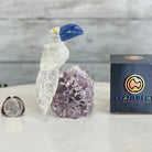 Small Hand - Carved Clear Quartz Toucan on an Amethyst Base #3002 - CQTAM - 031 - Brazil GemsBrazil GemsSmall Hand - Carved Clear Quartz Toucan on an Amethyst Base #3002 - CQTAM - 031Crystal Birds3002 - CQTAM - 031