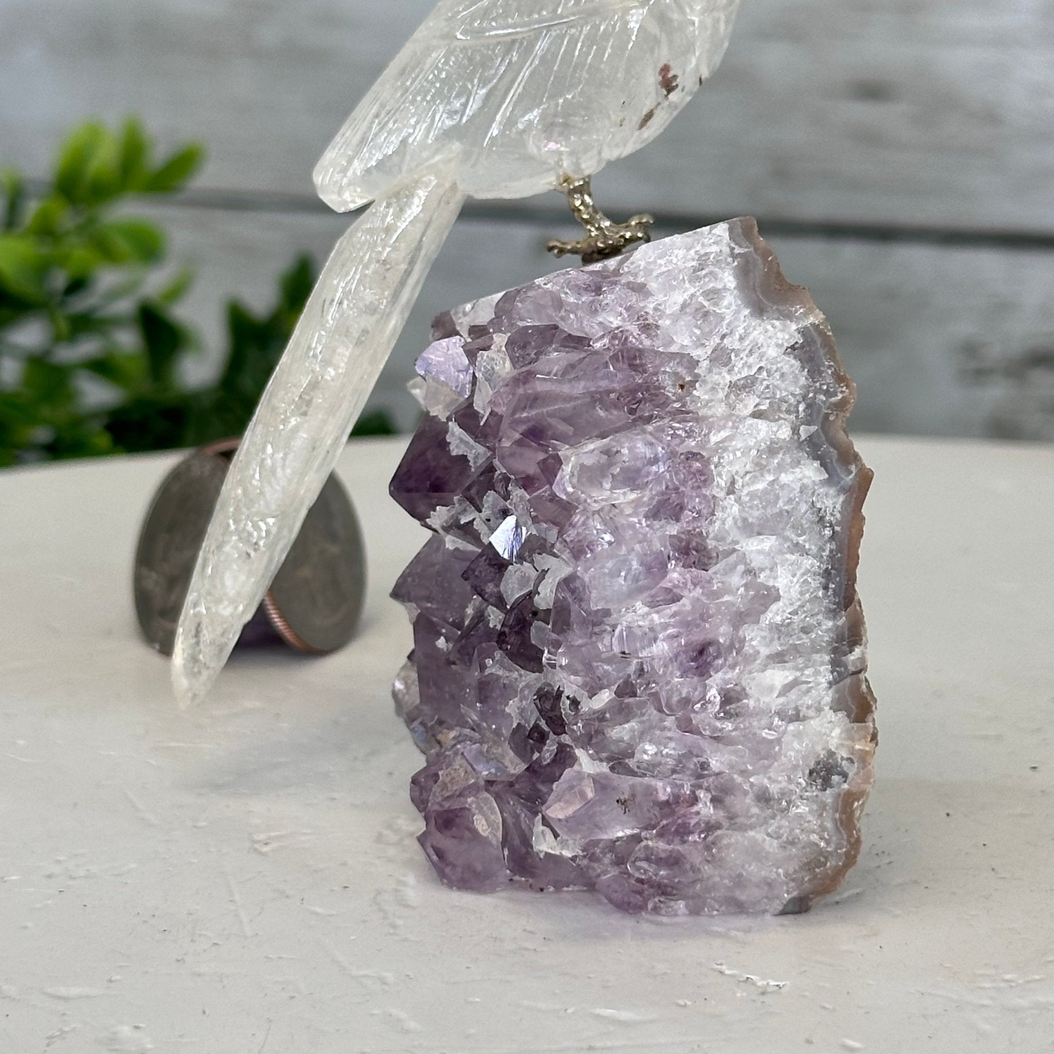 Small Hand - Carved Clear Quartz Toucan on an Amethyst Base #3002 - CQTAM - 031 - Brazil GemsBrazil GemsSmall Hand - Carved Clear Quartz Toucan on an Amethyst Base #3002 - CQTAM - 031Crystal Birds3002 - CQTAM - 031