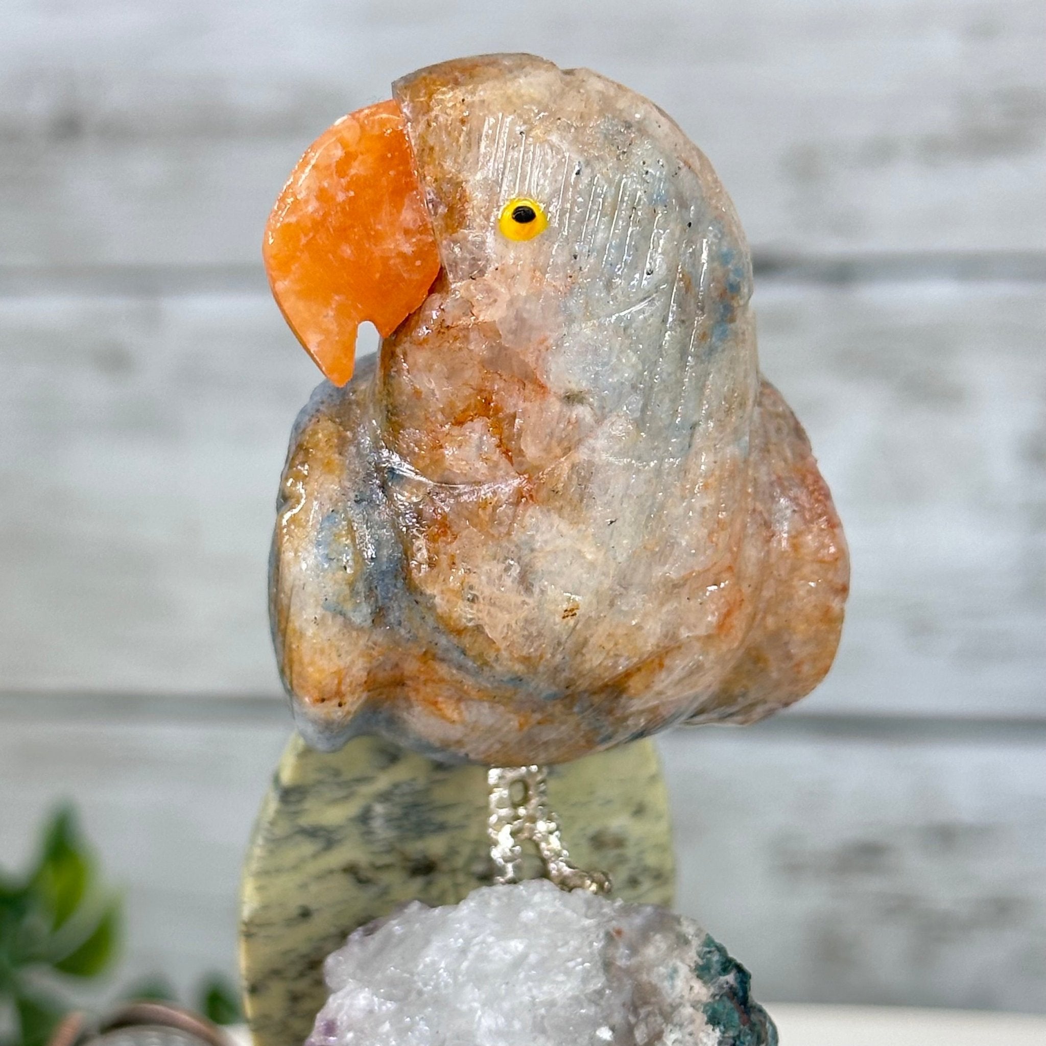 Small Hand - Carved Orange Apatite Parrot on an Amethyst Base, #3002 - OPPAM - 026 - Brazil GemsBrazil GemsSmall Hand - Carved Orange Apatite Parrot on an Amethyst Base, #3002 - OPPAM - 026Crystal Birds3002 - OPPAM - 026