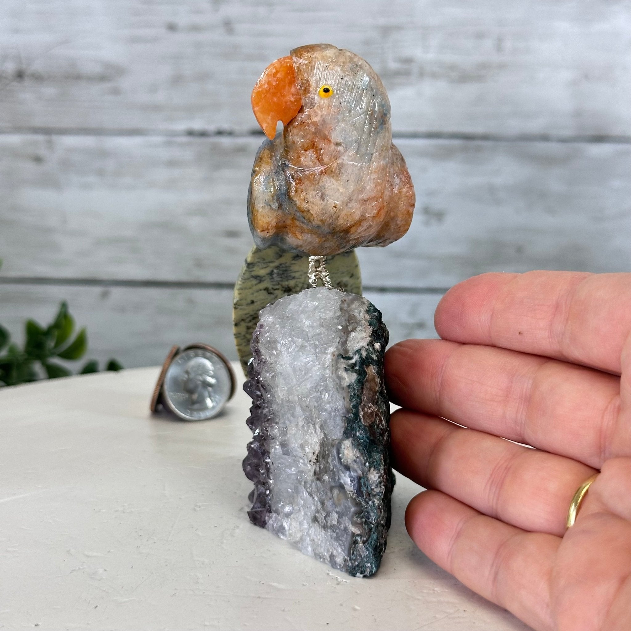 Small Hand - Carved Orange Apatite Parrot on an Amethyst Base, #3002 - OPPAM - 026 - Brazil GemsBrazil GemsSmall Hand - Carved Orange Apatite Parrot on an Amethyst Base, #3002 - OPPAM - 026Crystal Birds3002 - OPPAM - 026