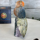 Small Hand - Carved Orange Apatite Parrot on an Amethyst Base, #3002 - OPPAM - 026 - Brazil GemsBrazil GemsSmall Hand - Carved Orange Apatite Parrot on an Amethyst Base, #3002 - OPPAM - 026Crystal Birds3002 - OPPAM - 026